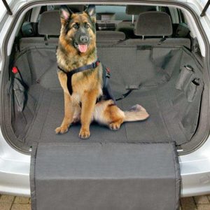 Transportboxen und -taschen für Hunde